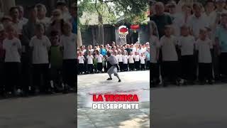 🧘‍♂️🐍 La Disciplina Shaolin La Tecnica del Serpente in Azione shaolin artimarziali viralvideo [upl. by Rus]