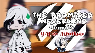 The Promised Neverland react to YN as Arlecchino  GachaClub  Read Description [upl. by Kaasi]