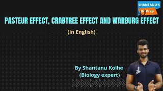 Pasteur effect  Crabtree effect  Warburg effect  In English  CSIR NET  GATE  Shantanu Kolhe [upl. by Ladiv]