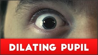 Dilating Pupil Effect amp Power Outage [upl. by Sivrep]