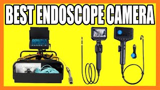 Top 5 Best Endoscope Camera in 2024 [upl. by Ferwerda]