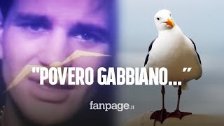 quotPovero gabbiano hai perduto la compagnaquot da dove viene l’audio diventato virale su TikTok [upl. by Annohsat353]