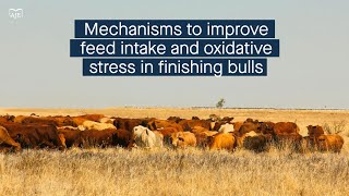 Mechanisms linking mediumchain fatty acid intake to feed intake and oxidative stress in bulls [upl. by Zeidman]