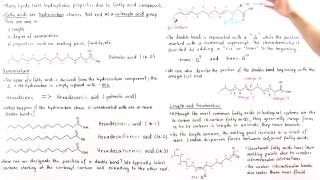 Fatty Acids [upl. by Ailemap182]