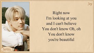 ENHYPEN What Makes You Beautiful Original by One Direction Lyrics [upl. by Brose]