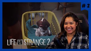 Fugitives  Life Is Strange 2  Part 2 Twitch Livestream [upl. by Pence]