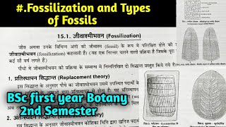 What is Fossilization  Types of Fossil in hindi  BSc first year Botany Second Semester [upl. by Niall216]