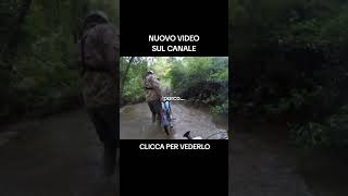 NUOVO SBUDELLÌO gopro petrol 50cc vintage viralvideo viralshorts shorts shortvideo [upl. by Anirok53]