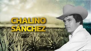 Chalino Sánchez  Alma Enamorada Letra Oficial [upl. by Llejk162]