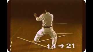 Official Karate  Heian Yondan Shotokan VHS 480p [upl. by Ednyl861]