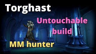 TORGHAST  Twisted corridors  OP Untouchable build MM hunter [upl. by Kinnard]