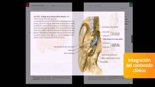 Sobotta Atlas de Anatomía Humana [upl. by Norved]