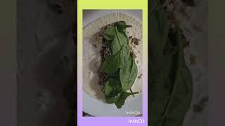 Keto Beef Wraps The Ultimate LowCarb Taco [upl. by Gayelord]