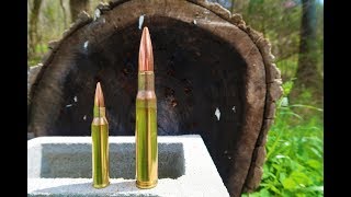 338 lapua magnum vs 50 bmg  Splitting Logs [upl. by Aisan967]