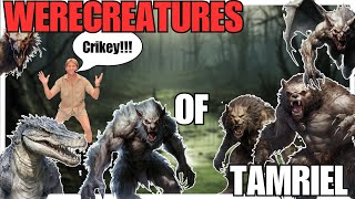 LYCANTHROPY in The Elder Scrolls Explained  The Elder Scrolls Lore [upl. by Ayirp]