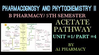 Acetate pathway unit 1 part4 pharmacognosy 5th sem [upl. by Thibaud]