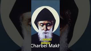 La vida y milagros de San Charbel Inspirando corazones y tocando vidas [upl. by Uaeb]