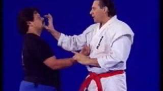 Hanshi Frank Dux demonstrates Dragon Technique [upl. by Nwahsor]