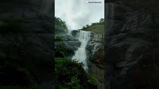 Palaruvi Waterfalls  Thenmala Dam  Thenmala Eco Tourism palaruvi thenmaladam courtallamfalls [upl. by Eserehs755]