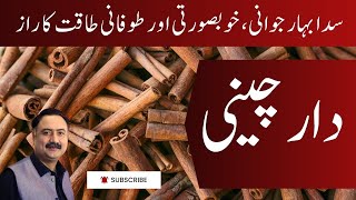 Dar Cheeni Cinnamon Ke Fawaid دار چینی کے فوائد [upl. by Namlaz476]