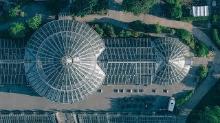 The Botanical Garden Copenhagen [upl. by Kreager620]