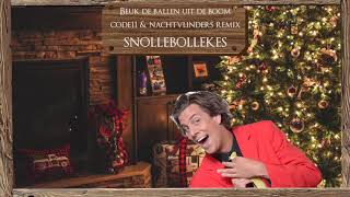 Snollebollekes  Beuk De Ballen Uit De Boom Code11 amp Nachtvlinders Remix Free Download [upl. by Papp]