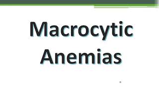 Macrocytic anemia Dr Aly Elkholy MD Arabic [upl. by Ahcsatan311]