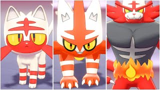 FULL LITTEN EVOLUTION TEAM Shiny Litten Shiny Torracat Shiny Incineroar [upl. by Jollanta554]