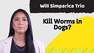 Discover the Truth Will Simparica Trio Kill Worms in Dogs [upl. by Kahlil]