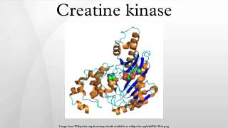 Creatine kinase [upl. by Wallach153]