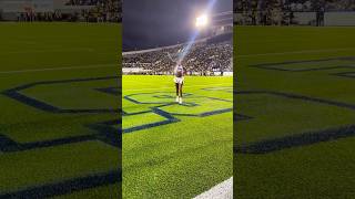 TSU Aristocrat of Bands “Mr Loverman” 🎶🎵🎼 Shabba Ranks ft Tennessee State Cheer ❤️💙🤍🐅 [upl. by Ades]