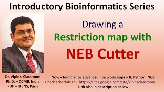 Restriction mapping using NEBcutter V20  Bioinformatics Practical 2 [upl. by Crofoot]