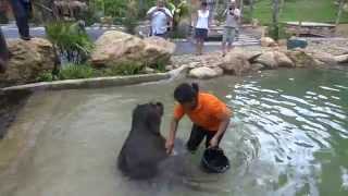 Bathing with the cute Baby Elephant of Khao Lak [upl. by Thia]