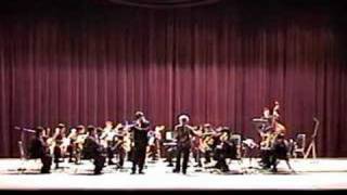 Vivaldi concierto para Flauta [upl. by Weikert]