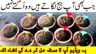 7 Biggest Mistakes for which Your Plants are dead आखिर क्यों नही उगते आपके कीमती बीज seeds perfect [upl. by Seigel]