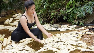 Harvest and preserve bamboo shoots then sell them at the market triệu lily [upl. by Cerveny]