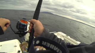 Fishing Off Montague Island at Bermagui [upl. by Octavian]