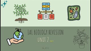 COMPLETE unit 2 IAL biology past papers and last minute revision [upl. by Lahpos]