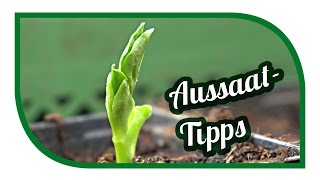 Aussaat amp Gartentipps im März🌱 Jungpflanzenanzucht 🌱 erste Freilandaussaaten [upl. by Frye616]