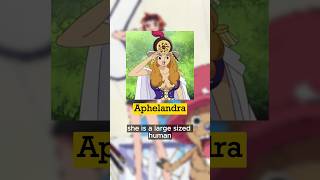 One Piece Aphelandra manga anime onepiece aphelandra [upl. by Drol764]