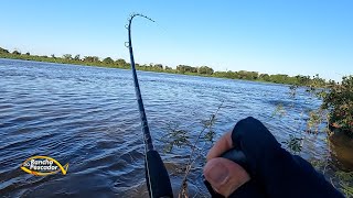 PESCAR NO PANTANAL É UMA EXPERIENCIA ÚNICA [upl. by Brandais]