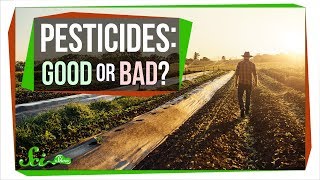 How Safe Are Pesticides Really [upl. by Sum]