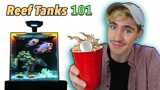 How to Set Up a College Reef Tank  QampA [upl. by Kancler]