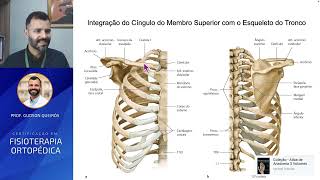 Anatomia do Ombro [upl. by Aisyla]