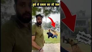 कुत्ते ने हमला कर ली जान shorts viral minivlog animallover sanjumohitvlogs dogsvideo [upl. by Sharpe790]