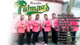 Banda Palmitas [upl. by Crescentia]