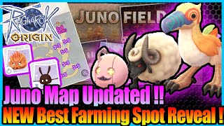 New Juno Best Farm Spot amp EZ Purple Card Spot Ragnarok Origin Global [upl. by Tavis]