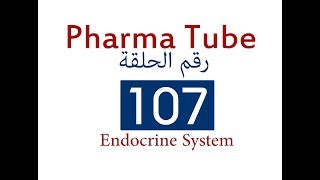 Pharma Tube  107  Endocrine System  6  Adrenocortical Hormones [upl. by Joane]