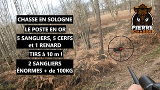 CHASSE SOLOGNE EN BATTUE  5 SANGLIERS 5 CERFS et 1 RENARD  LE POSTE EN OR [upl. by Clayberg365]