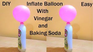 Inflate Balloon with Vinegar and Baking Soda for Science Fair Project  HowToFunda [upl. by Anibor871]